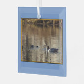 Natation Nage en canards Ornement en verre Carré (Avant gauche)