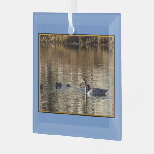 Natation Nage en canards Ornement en verre Carré (Avant gauche)