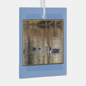 Natation Nage en canards Ornement en verre Carré (Avant droite)