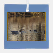Natation Nage en canards Ornement en verre Carré (Verso)