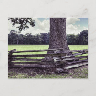 Natchez Split Rail Fence Briefkaart