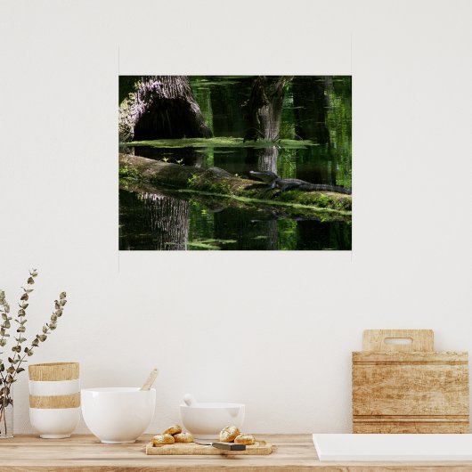 Natchez Trace Gator (1) Poster (Keuken)