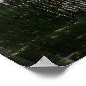 Natchez Trace Gator (1) Poster (Hoek)