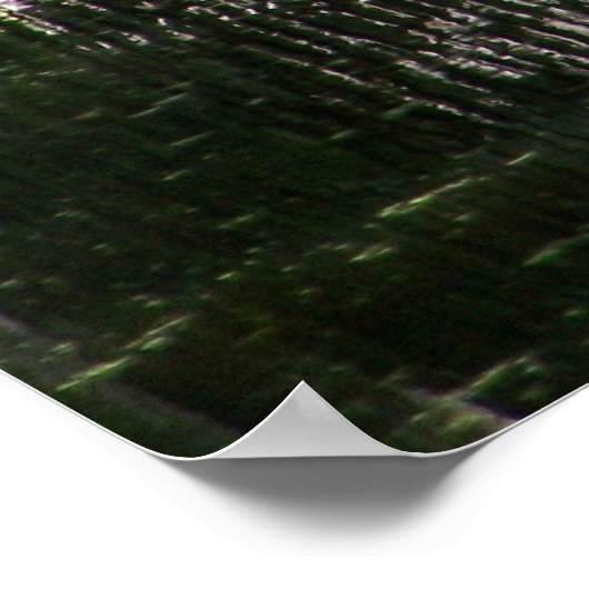 Natchez Trace Gator (1) Poster (Hoek)