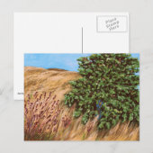 Nathanael en het Briefkaart van de Varkensboom (Voorkant / Achterkant)