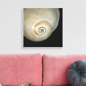 Naticid-schelp Canvas Afdruk (Insitu (Woonkamer))