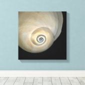 Naticid-schelp Canvas Afdruk (Insitu (Houten vloer))