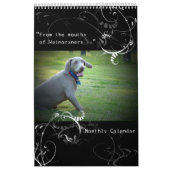 Nation de Weimaraner : Calendrier de citation (Protection)