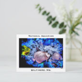Nationaal Aquarium, Baltimore, Md. Briefkaart (Staand voorkant)