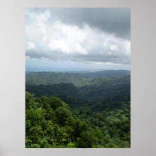 Nationaal bos El Yunque Poster