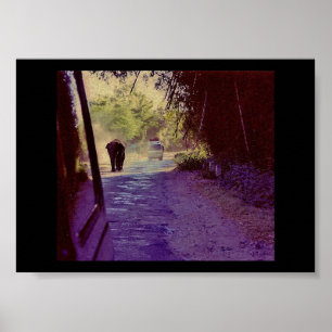 Nationaal bos van Bandipur Poster