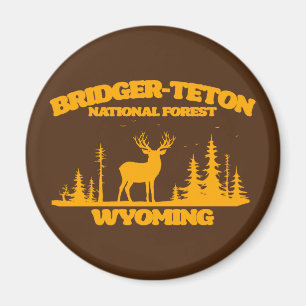 Nationaal bos van Bridger-Teton Magneet