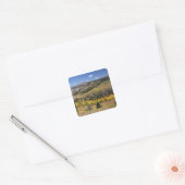 Nationaal bos van Bridger-Teton Vierkante Sticker (Envelop)