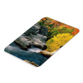 Nationaal bos van het Witte gebergte, NH Magneet (Linkerzijde)