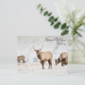 Nationaal Briefkaart Elk Refuge Wyoming (Staand voorkant)