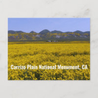 Nationaal monument van Carrizo Plain