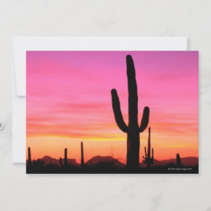 Nationaal monument voor orgaanpijpleiding