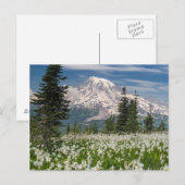 Nationaal park 1 van Mount Rainier Briefkaart (Voorkant / Achterkant)