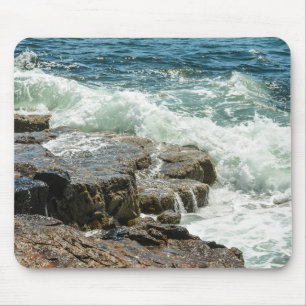 Nationaal park Acadia Maine Coast Ocean Muismat