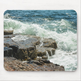 Nationaal park Acadia Maine Coast Ocean Muismat