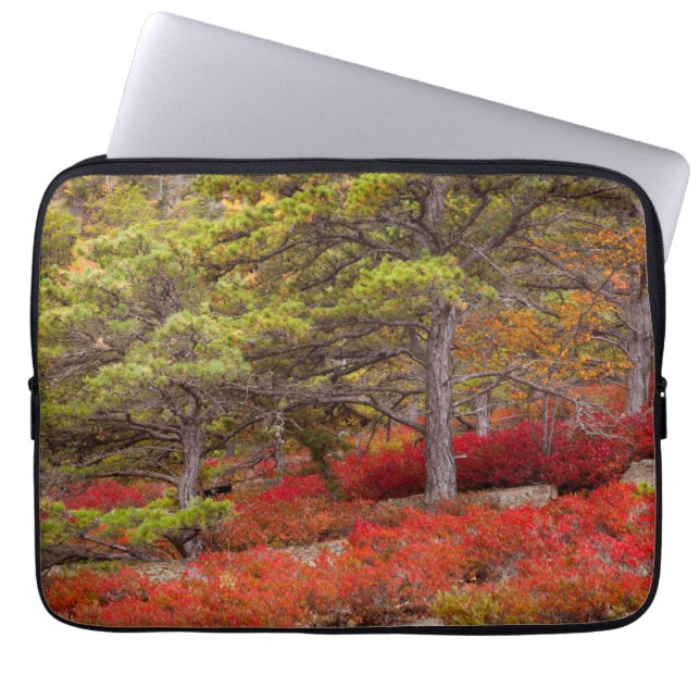 Nationaal park Acadia, Maine Laptop Sleeve (Voorkant)