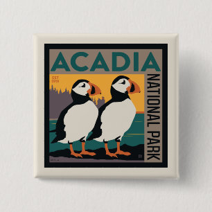 Nationaal park Acadia, Maine   Puffins Vierkante Button 5,1 Cm