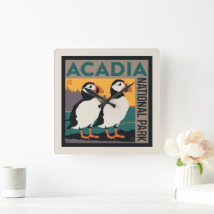 Nationaal park Acadia, Maine   Puffins Vierkante Klok
