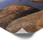 Nationaal park Acadia Poster (Hoek)