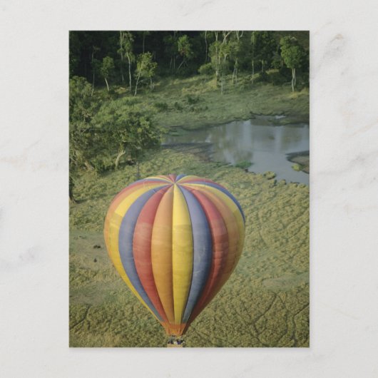 Nationaal Park Afrika, Kenia, Masai Mara, 3 Briefkaart (Voorkant)