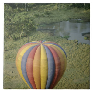 Nationaal Park Afrika, Kenia, Masai Mara, 3 Tegeltje