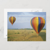 Nationaal Park Afrika, Kenia, Masai Mara Briefkaart (Voorkant / Achterkant)