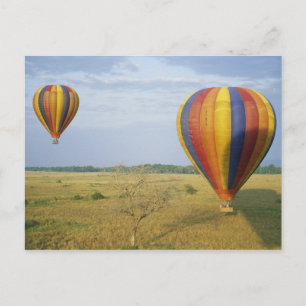 Nationaal Park Afrika, Kenia, Masai Mara Briefkaart