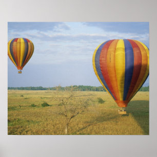 Nationaal Park Afrika, Kenia, Masai Mara Poster