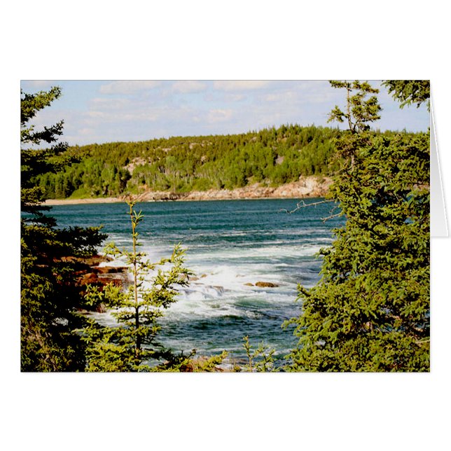 Nationaal park Arcadia door de bomen (Voorkant Horizontaal)