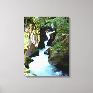 Nationaal park Avalanche Gorge-Glacier Canvas Afdruk