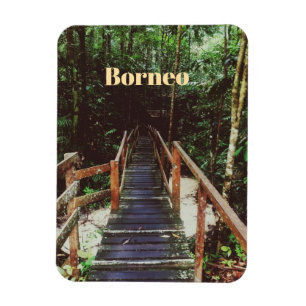 Nationaal park Bako - Borneo Magneet