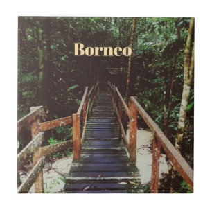 Nationaal park Bako - Borneo Tegeltje