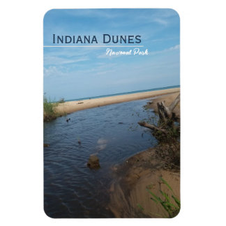 Nationaal Park Beach Veiw Indiana Dunes Magneet