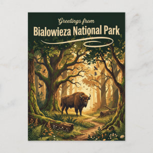 Nationaal Park Białowieża Polen Briefkaart