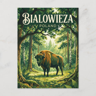 Nationaal Park Białowieża Polen Briefkaart