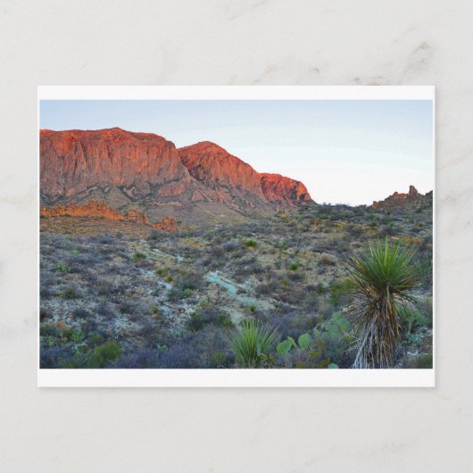 Nationaal park Big Bend Briefkaart (Voorkant)