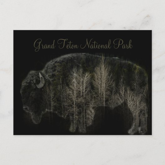 Nationaal park Bison en Forest Grand Teton Briefkaart (Voorkant)