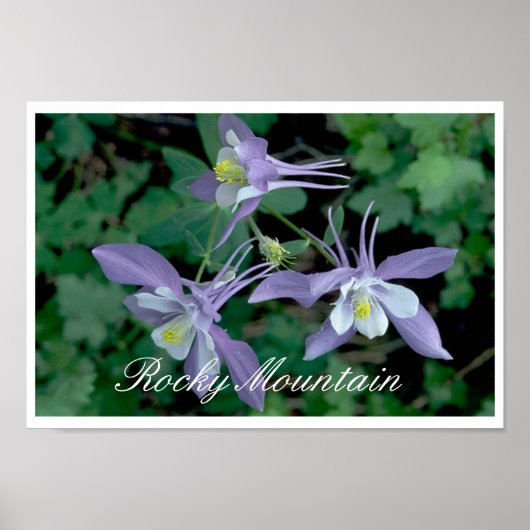 Nationaal Park Blauwe Columbus, Rocky Mountain Poster (Voorkant)