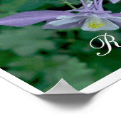 Nationaal Park Blauwe Columbus, Rocky Mountain Poster (Hoek)