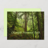 Nationaal Park Briefkaart (Voorkant / Achterkant)