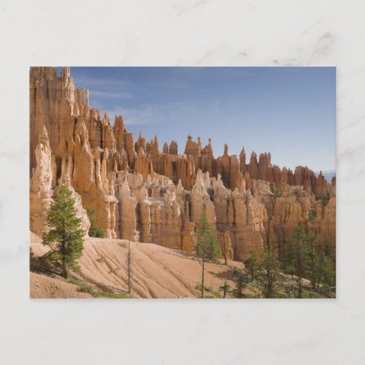 Nationaal Park Bryce Canyon Briefkaart (Voorkant)