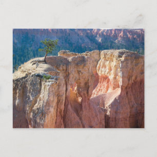 Nationaal Park Bryce Canyon Briefkaart