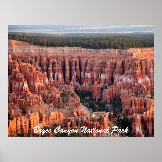 Nationaal Park Bryce Canyon Poster (Voorkant)