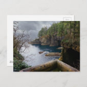 Nationaal park Cape Flattery Briefkaart (Voorkant / Achterkant)