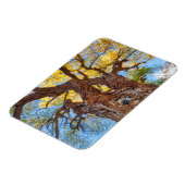 Nationaal park Capitol Reef, katoenhoutboom Magneet (Linkerzijde)